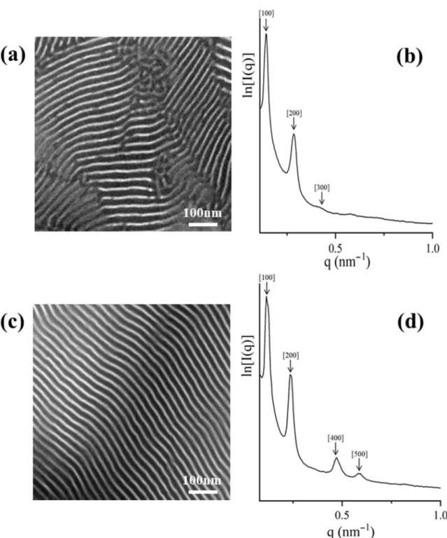 Figure 5. Bright-field TEM images of the dendritic final terpolymer [(PS)(PI)(PB)] 4 -B 4 core and the corresponding dendron where in both cases 2-phase contrast is clearly indicated (a,c) after staining with vapors of OsO 4 aqueous solution and their rele