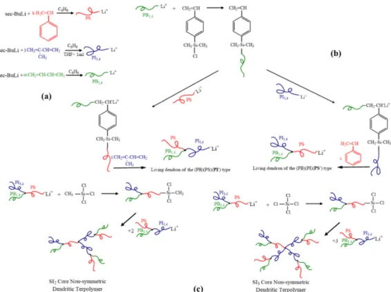 Figure 2. Schematic illustration  of: (a) the synthetic  procedure for the three different PS, PB and PI  segments used in the intermediate steps for the synthesis of the two different living dendrons, (b) the  preparation  for  the  two  different  living