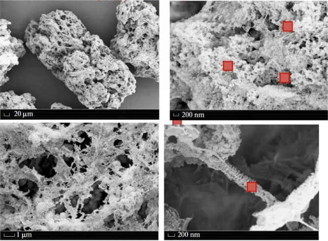 Fig. 6. Scanning electron microscopic images of the UHMWPE particle at different magnifications (the scales are  shown in each image, the size of the squares corresponds to the X-ray nanobeam cross section)