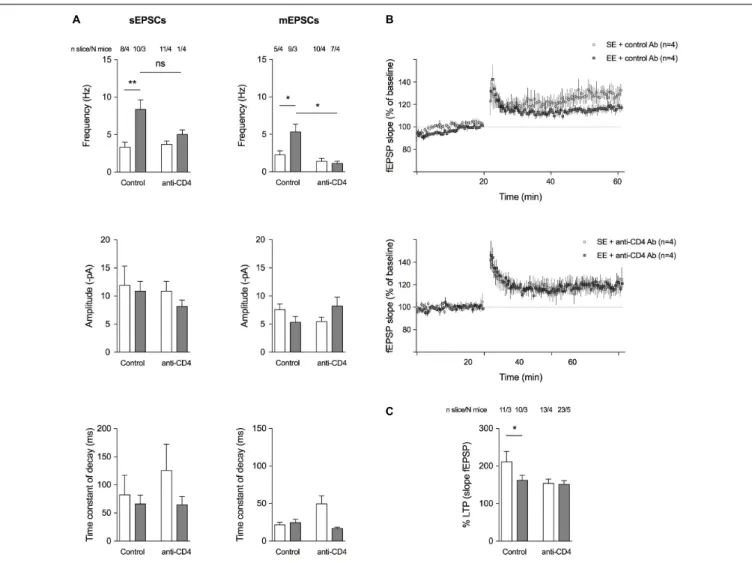 FIGURE 3 | CD4 + T cell depletion affects spontaneous and miniature activities on pyramidal CA1 neurons and LTP at the CA3-CA1 synapse