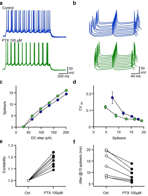 Figure 1. Spontaneous GABAergic activity affects excitability and spike timing of pyramidal cells