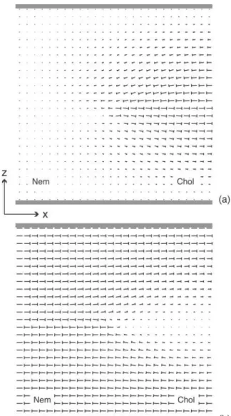 Fig. 17. Director fields obtained after minimizing the total energy when θ = 0 (a) and θ = π/2 (b) (δT = 0.03 ◦ C)
