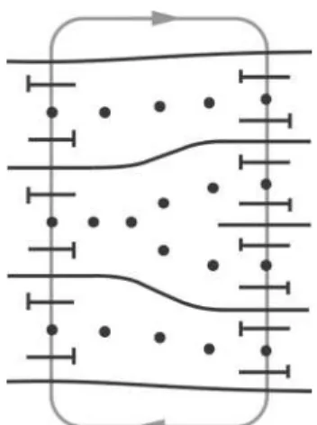 Fig. 1. χ disclination line in a cholesteric liquid crystal (from Ref. [17]).