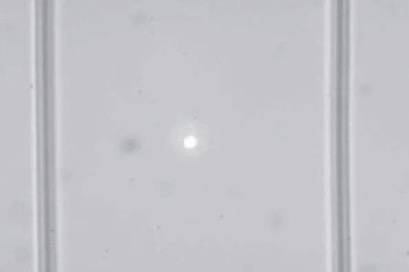 Fig. 2. Planar sample in a moderate temperature gradient (d = 58 µm and G = 7.2 ◦ C/cm)