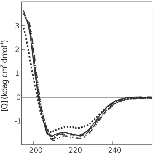 Fig 3. Far-UV CD spectra of NOX5-EF in the apoform in the presence of 50 mM H 2 O 2 (dotted line); in the apoform, control (solid line); in the apoform in the presence of 1 mM CaCl 2 and 50 mM H 2 O 2 (chain line); in the apoform in the presence of 1 mM Ca