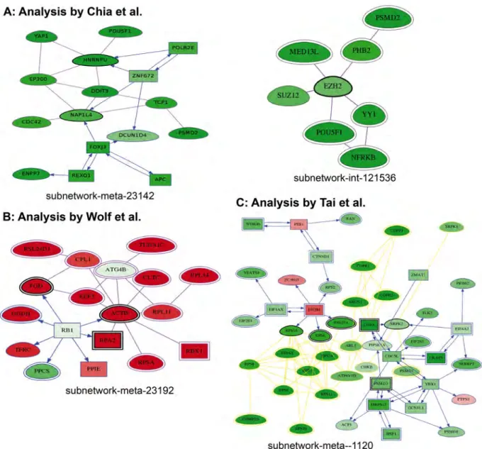 Fig 6. Examples of networks detected in each analysis. 6A: Chia analysis. EZH2 deregulated interactome subnetworks are shown