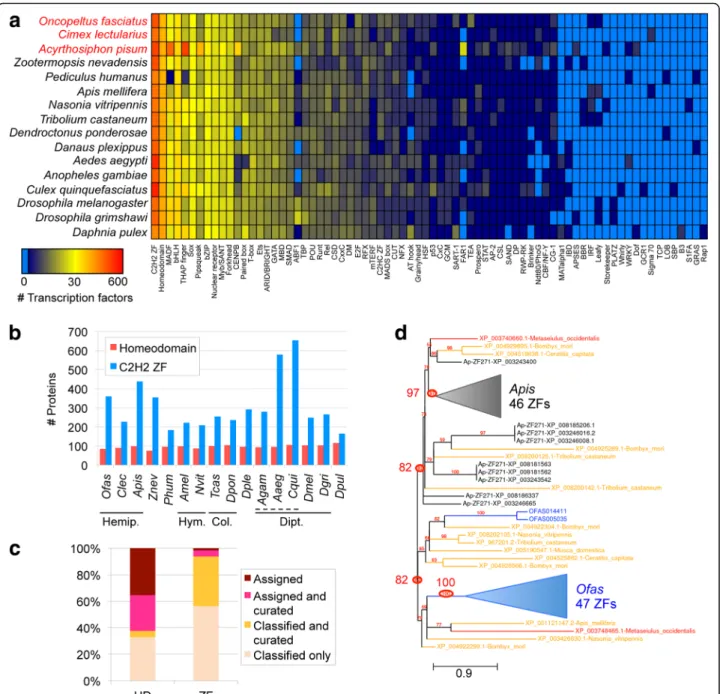 Fig. 4 Distribution of transcription factor (TF) families across insect genomes. a Heatmap depicting the abundance of 74 TF families across 16 insect genomes (Hemiptera highlighted in red text), with Daphnia as an outgroup, based on the presence of predict