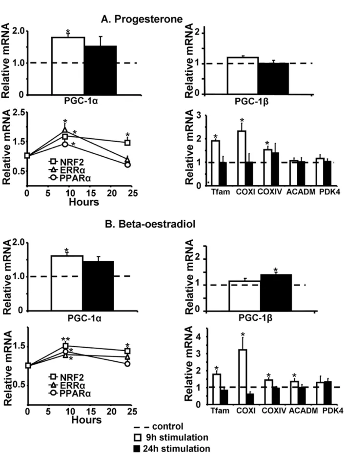 Figure 6. Validation of steroid hormones in adult rat cardiomyocytes. Nine (white columns) and 24 (black columns) hours stimulation with 1 nM progesterone (A) or 0.1 nM beta-estradiol (B) led to increased mRNA expression