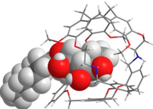 Table 1. Binding Constants K a (M −1 ) for the 1:1 Complexes Formed between the Di ﬀ erent Isomers of Host 3 and the Carbohydrate Guests a