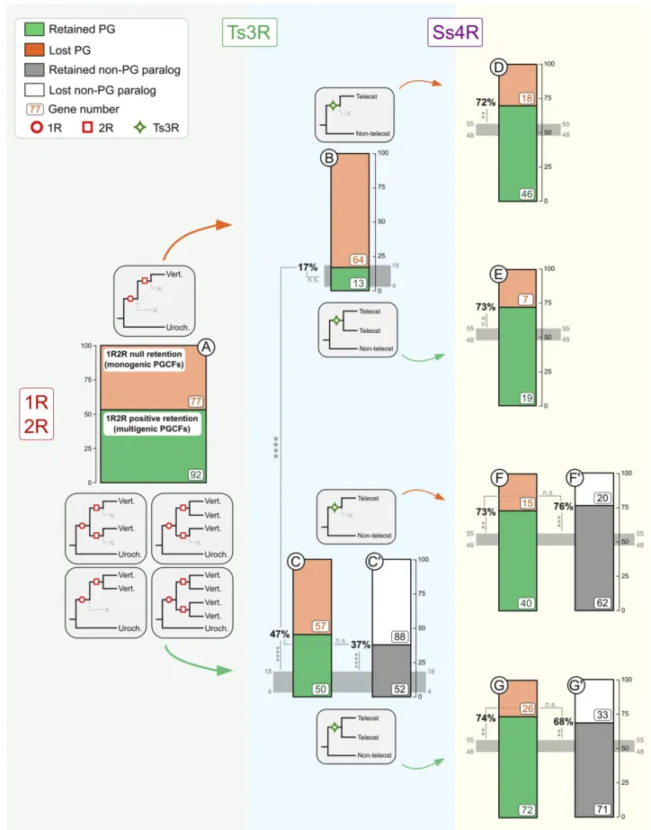 Figure 4 Retention rates for pigmentation genes from monogenic and multigenic families after successive WGDs in vertebrates