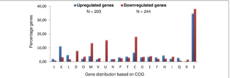 FIGURE 2 | Distribution of B. suis genes under RegA control in COG functional categories