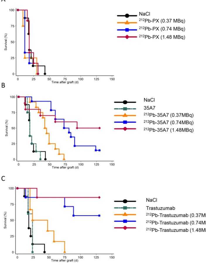 Figure 2. Survival curves. Nude mice xenografted with A-431 tumor cells were i.p. injected with (A) NaCl, the irrelevant 212 Pb-PX, (B) unlabeled (40 mg) or 212 Pb-labeled 35A7 (anti-CEA), or (C) unlabeled (40 mg) or 212 Pb-labeled tratsuzumab (anti-HER2)