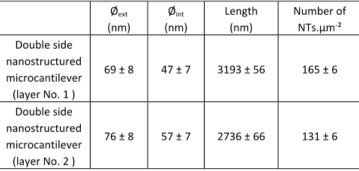 Fig. 5 TEM images of TiO 2 -NTs obtained from nanostructured wafer.