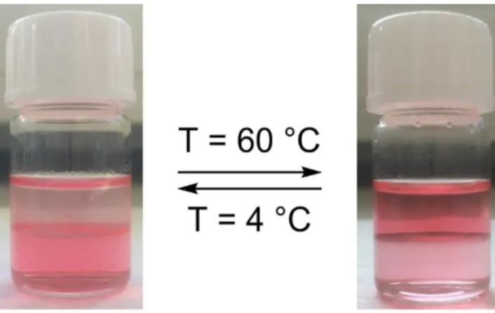 Figure 5: Temperature-controlled shuttling of Congo red in ethyl acetate/water using PEHO-IL- PEHO-IL-PnPrOx 10  as molecular shuttle