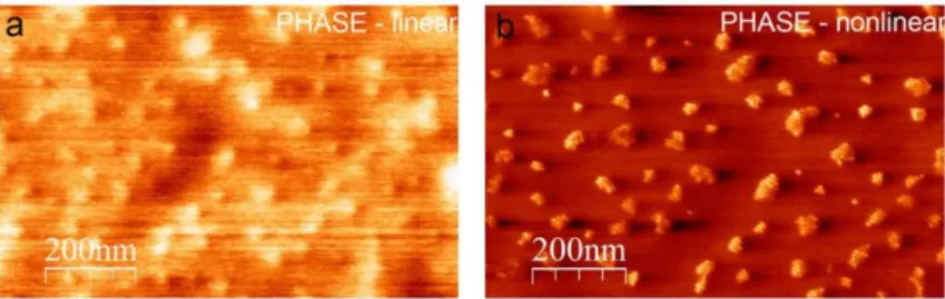 Figure 2. Phase images (600 × 900 nm 2 ) acquired in standard tapping mode over the same area  with the same tip