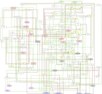 Fig 3. Logical regulatory graph of the TCR-REDOX metabolism model. The model was designed to study the interaction between the redox state and cellular metabolism and its influence on the activation of human CD8 + T lymphocytes