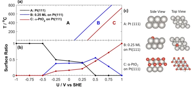 Figure 2. Ab initio thermochemistry, structures and proportions of surfaces, displaying (a) surface  phase  diagrams  and  (b)  surface  ratio  as  a  function  of  potential  and  (c)  representing  the  corresponding structures