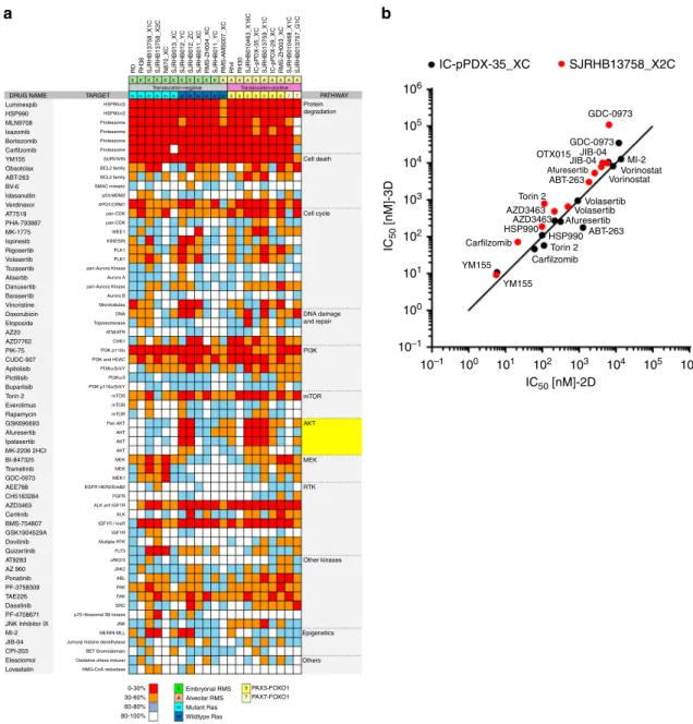 Fig. 4 2D and 3D in vitro drug pro ﬁ ling of PPCs. a Heat map depicting the activity of indicated agents used at a ﬁ nal concentration of 500 nM across the panel of RMS cells