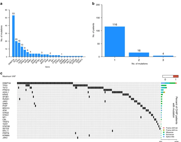 Fig. 1 Mutational spectrum of CHIP in hematopoietic cells of multiple myeloma patients at the time of autologous stem cell transplant