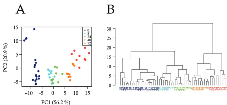 Fig 1. Analysis of bulk-cell gene expression during the differentiation process. Gene expression data were produced by RT-qPCR in triplicate from three independent T2EC populations collected at five differentiation time-points (0 h, 8 h, 24 h, 48 h, 72 h)