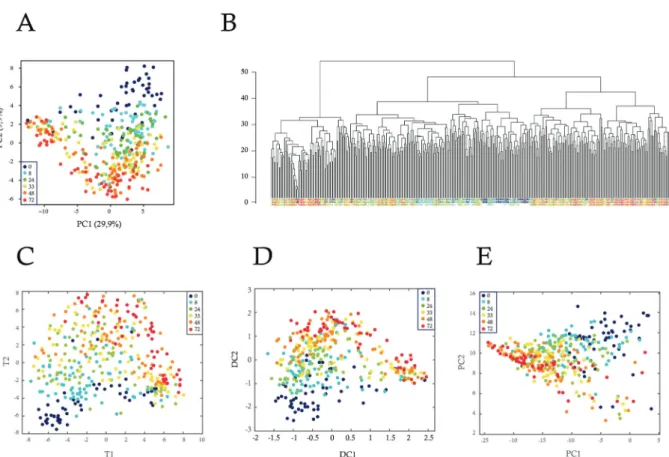 Fig 2. Analysis of single-cell gene expression during the differentiation process. Gene expression data were produced by RT- RT-qPCR from individual T2EC collected at six differentiation time-points (0, 8, 24, 33, 48, and 72 h)