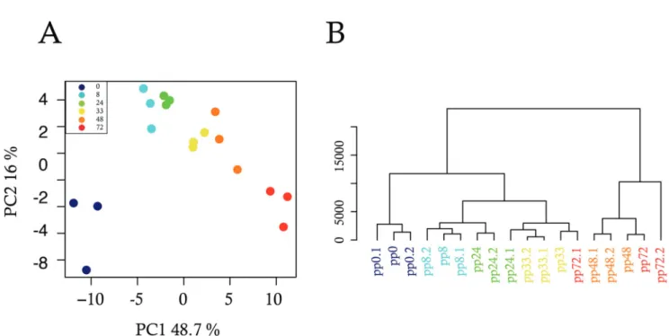 Fig 4. Analysis of single-cell data averaged over pseudo-populations. We separated single-cells into three pseudo-populations with around one-third of single cells for each time-point