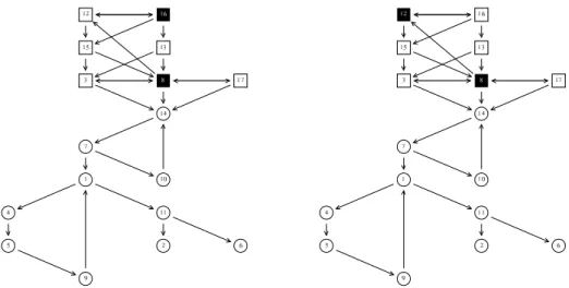 Fig. 4. The original graph marked with the minimum FVSs