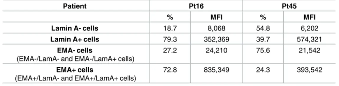 Table 2. Lamin A and EMA expression in adenocarcinoma cells.