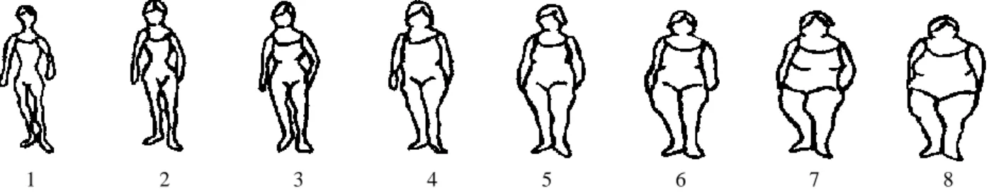 FIGURE 1. Body silhouettes used on the baseline questionnaire to assess body mass at various ages (as first proposed by Sörensen  et  al