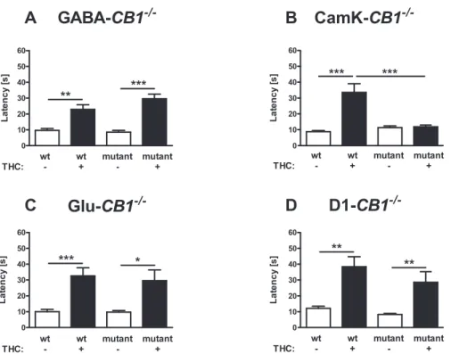 Figure 6. Analgesic Effect of THC in Different CB1 Mutant Mice