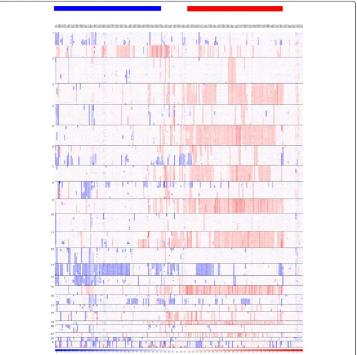 Figure 1 SNP copy number-based clustering provides an overall view of myeloma genomic heterogeneity and subtypes