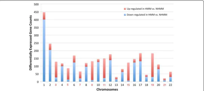 Figure 2 The number of differentially expressed genes between HMM and NHMM by chromosome