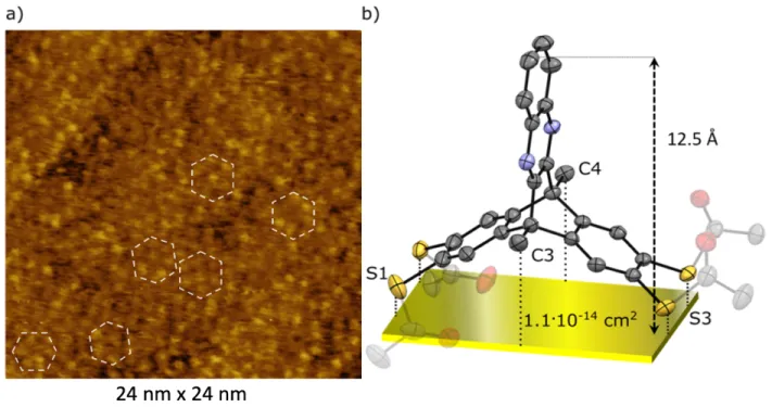 Figure 4. STM image of a DAT monolayer assembled on Au(111)@mica substrate; the near-range order is highlighted by the white  dashed line hexagones (a)