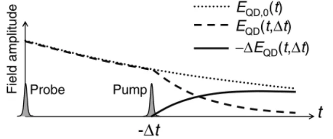 FIG. 1. Time-domain representation of the fields radiated by the quantum dot for a negative pump-probe delay.