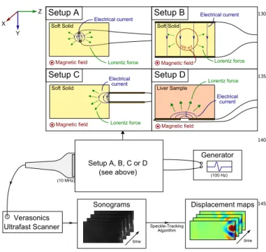 FIG. 1. Experimental setup scheme. An electrical current was applied through two planes electrodes in a soft solid placed in a magnetic field