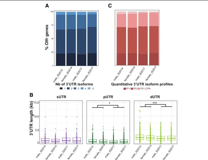 Fig. 7 Comparison of the Olfr 3 ’ UTR annotations between 4 datasets from adult olfactory mucosa