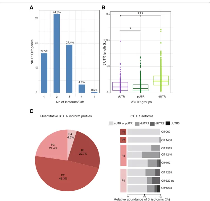Fig. 4 A large majority of Olfr mRNAs shows multiple 3 ’ UTR isoforms produced through alternative polyadenylation