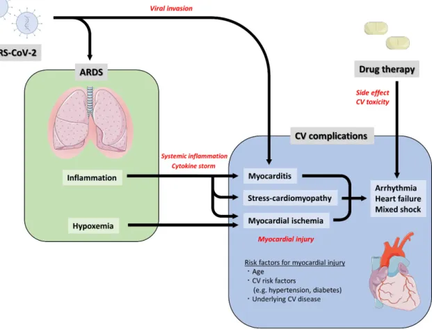 Figure 1. Potential Mechanisms of Cardiovascular Complication Caused by COVID-19. ARDS, acute  respiratory distress syndrome; COVID-19, coronavirus disease 2019; CV, cardiovascular