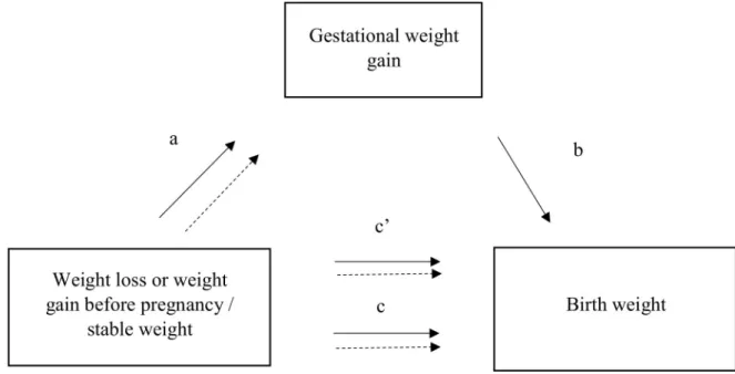 Fig 2. Mediator model. a is the association between weight variation and the potential mediator, gestational weight gain