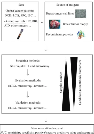 Figure 1: Breast cancer autoantibody research pipeline. Methodologies for identification of TAAs consist to locate specific immunogenic proteins specific from a source of antigens (recombinant protein or extracted from cell cultures or tumors)