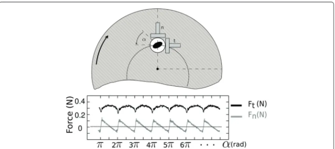 Fig. 3 Direct measurement of the two components of the friction force F – Top: Sketch of the experimental configuration