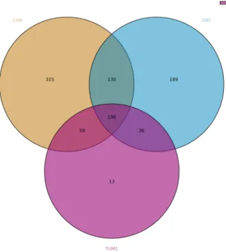 Figure 2.  Venn diagram of common CDSs variants between DID, TUM1 and CHR isolates compared to C