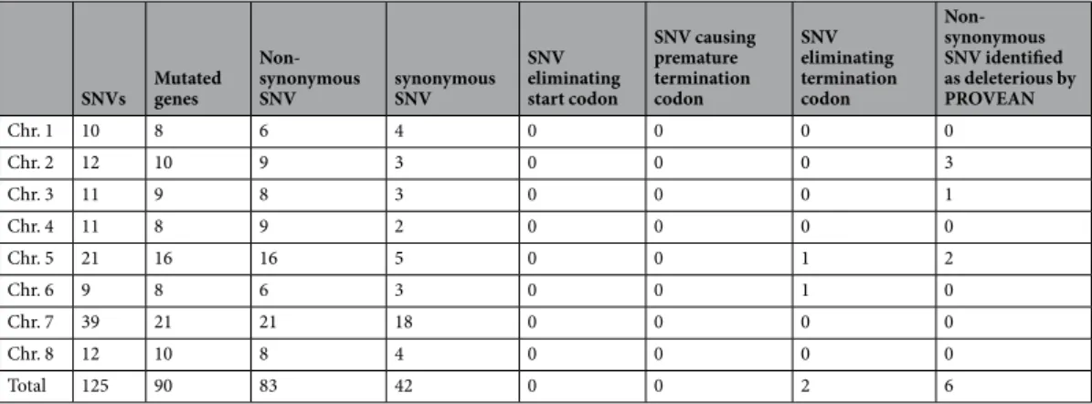 Table 3.  Characteristics of the 125 common SNVs found between C. parvum DID, TUM1 and CHR isolates in  comparison with C
