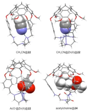 Figure 11. Crystal structures of CH 3 CN@22, CH 3 CN@Zn(II)@22, AcO − @Zn(II)@22, and acetylcholine@24.