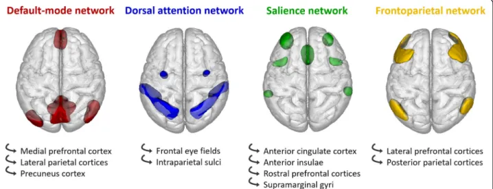 Fig. 1 Regions of interest used in the functional connectivity analysis, superimposed on a three-dimensional brain template (superior view)