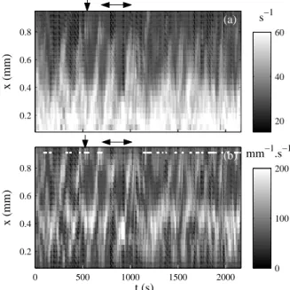 Fig. 9 Shear banding in the SDS–octanol in brine system under an imposed engineering shear stress σ = 19 Pa