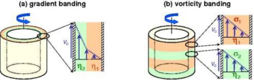 Fig. 1 Shear banding (a) in the gradient direction and (b) in the vorticity direc- direc-tion in Couette geometry.