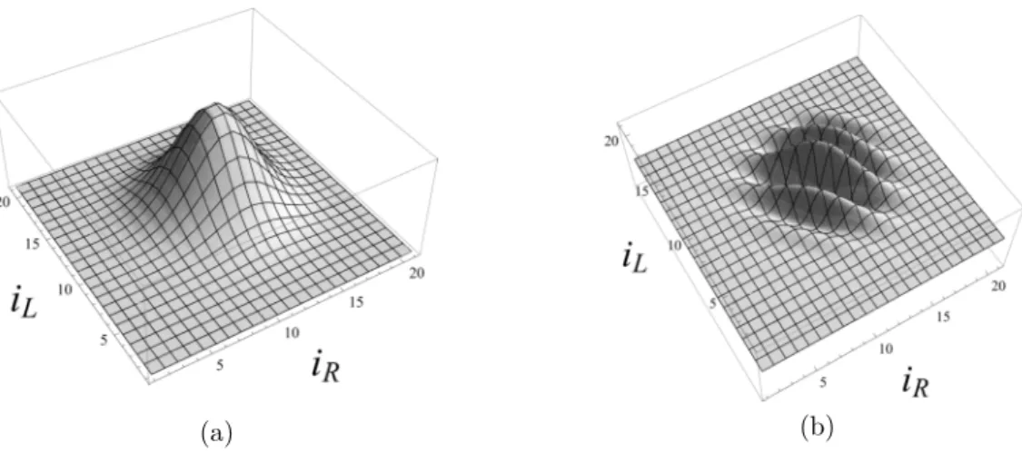 Figure 1: (a) Interpolated plot of the modulus of g(i L , i R , j 0 ) for j 0 = 20 and γ = 0 computed using the exact formula of the fusion coeﬃcients