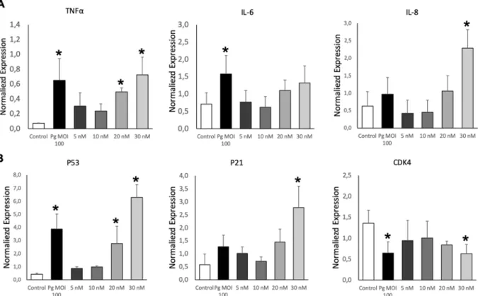 Figure 2. EMV Pg  trigger inflammatory endothelial response. (A) The mRNA expression of inflammatory  markers TNF- α , IL-6 and IL-8 in EC exposed to P