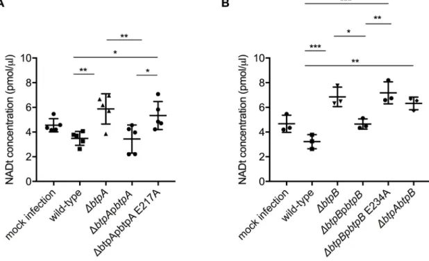 Fig 10. B. abortus TIR domain-containing proteins control intracellular total NAD levels during macrophage infection